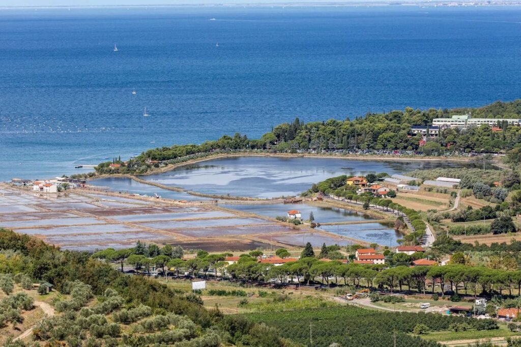 Home strunjan zaliv pogled iz zraka